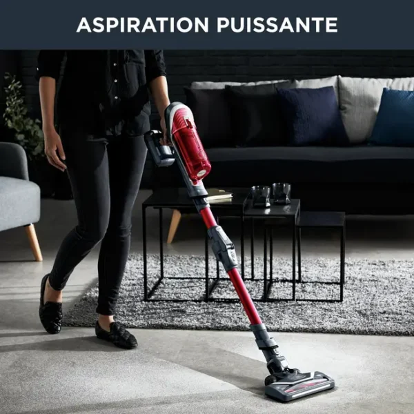 Aspirateur Rowenta X-Force Flex 8.60 Kit Animal RH9679WO